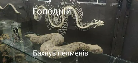 Голодний після пельменів