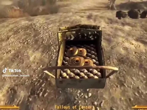 Fallout Shopping Cart Launch