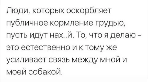 Публичное кормление собаки
