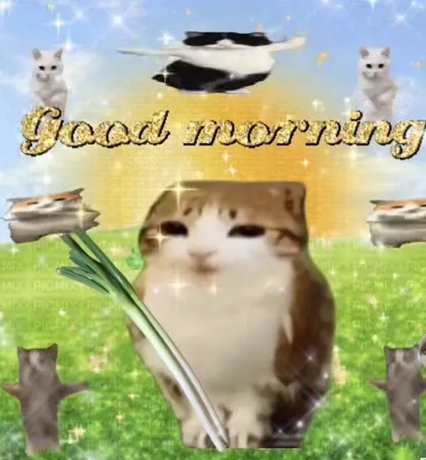 Good Morning Cat Greeting