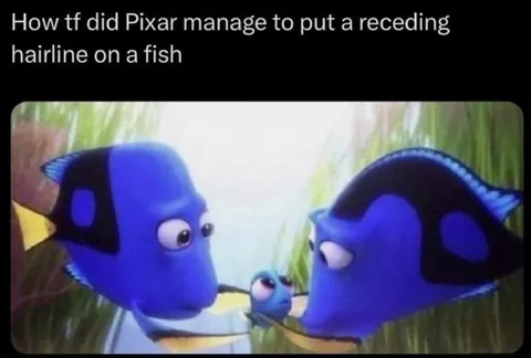 Pixar Receding Hairline Fish