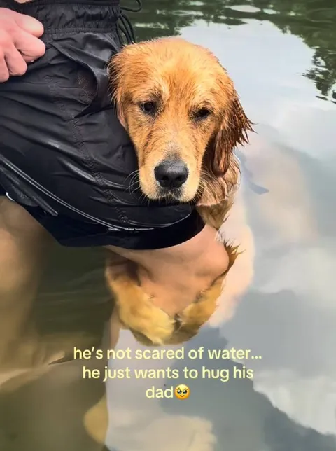 Dog Hugs His Dad in Water
