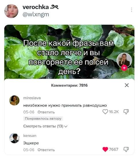 Фраза для повторения каждый день