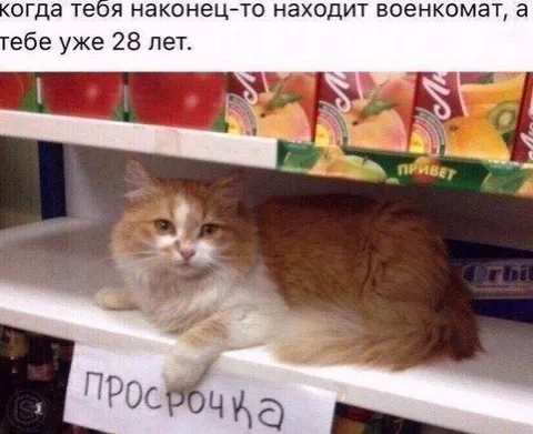 Военкомат нашёл просрочку