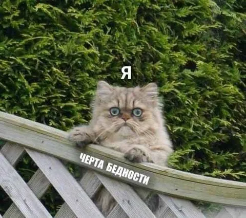 Я черта бедности