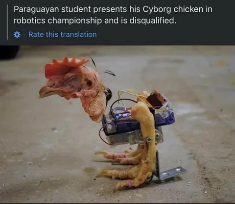 Cyborg Chicken Disqualified