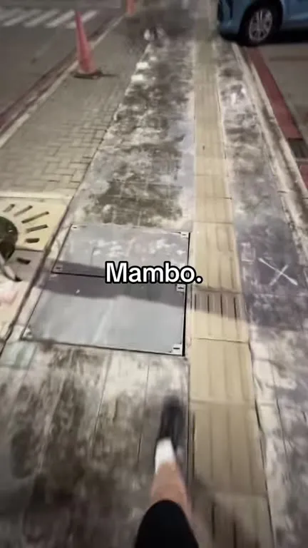 Mambo on the Night Walk