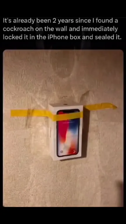 Two Years Sealed in an iPhone Box