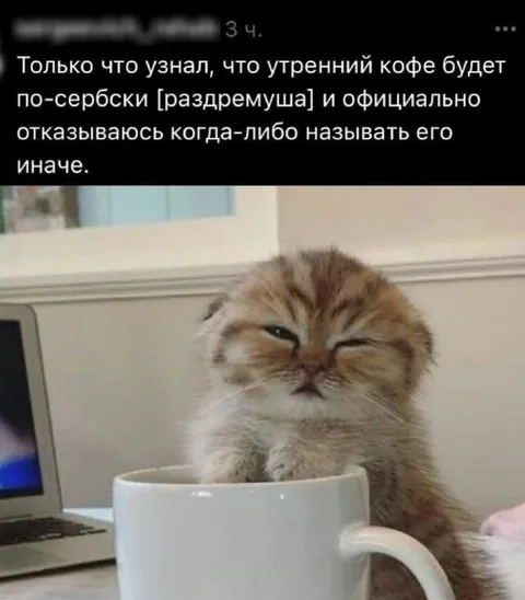 Утренний кофе по-сербски
