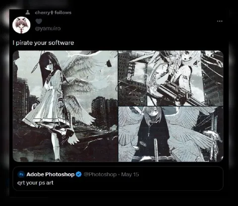 I Pirate Your Software