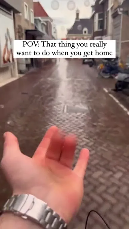 Pet the Cat When You Get Home