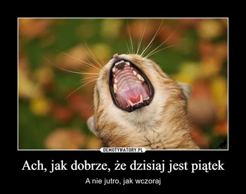 Jak dobrze, że jest piątek