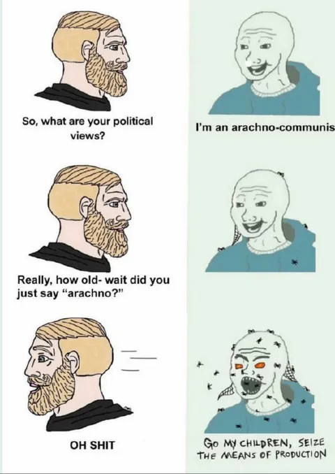 Arachno-Communist Political Views