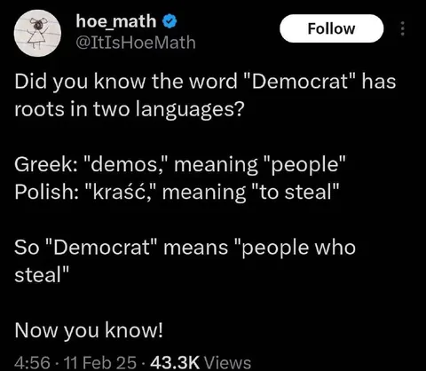 Democrat People Who Steal