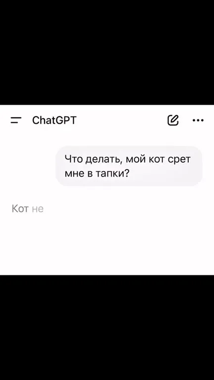 Кот, который насрал в тапки