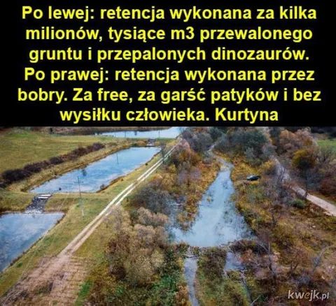 Retencja wykonana przez bobry
