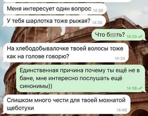 Перепалка про рыжую шарлотку