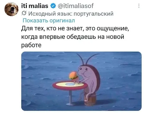 Первый обед на новой работе