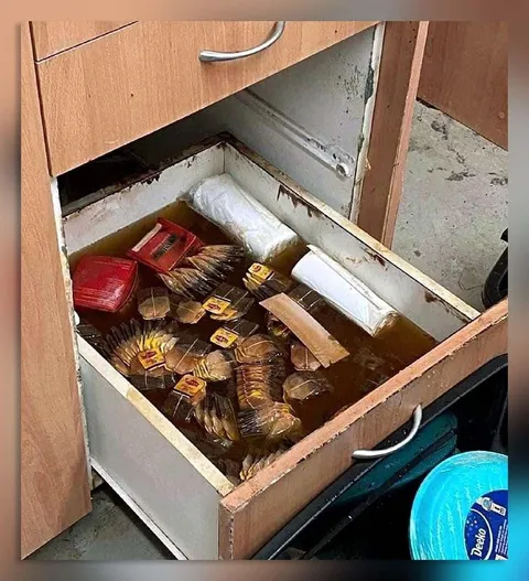 Рыба в затопленном ящике