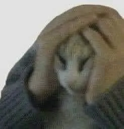 Кот под одеялом