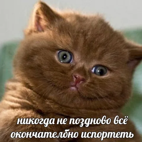 Никогда не поздно всё испортить