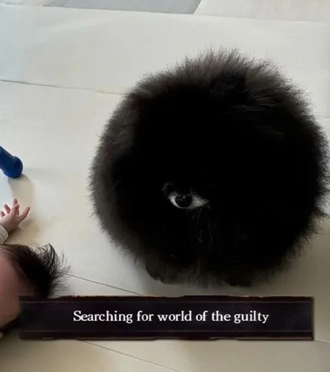 Searching for the Guilty