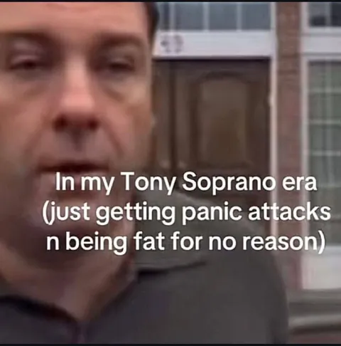 Tony Soprano Panic Attack Era