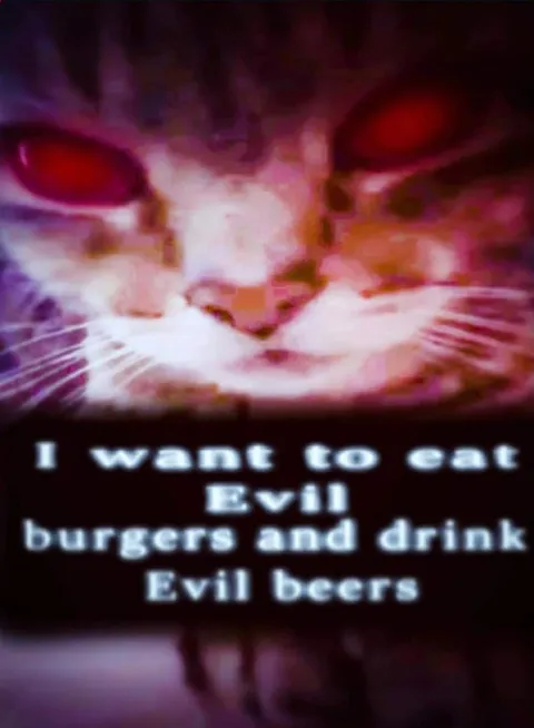 Evil Cat Wants Burgers