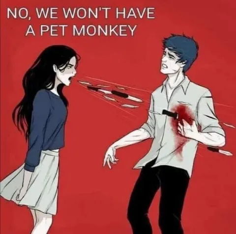 No Pet Monkey