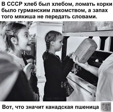 Канадская пшеница и советский хлеб