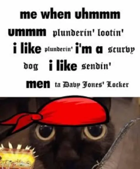 Pirate Cat Loves Plundering
