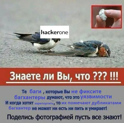 Багхантер не может ни есть ни пить