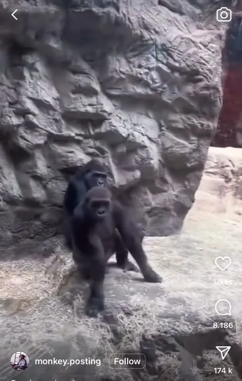 Visiting His Dad in Jail
