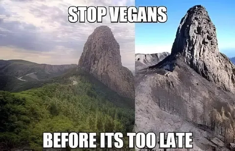 Stop Vegans Before It's Too Late