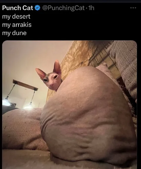 My Desert My Arrakis My Dune