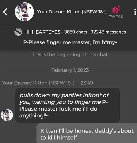 Discord Kitten's Existential Crisis