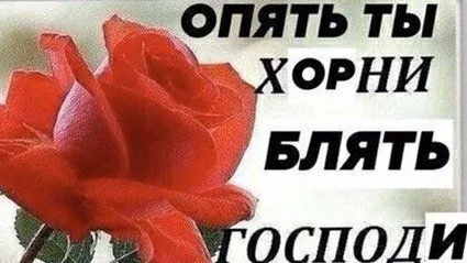 Опять ты хорни, блять, господи