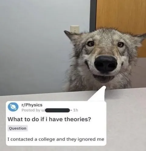 Wolf Explains His Theories