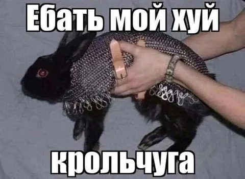 Ебать мой хуй, крольчуга
