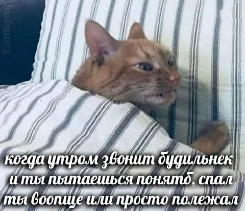 Когда звенит будильник