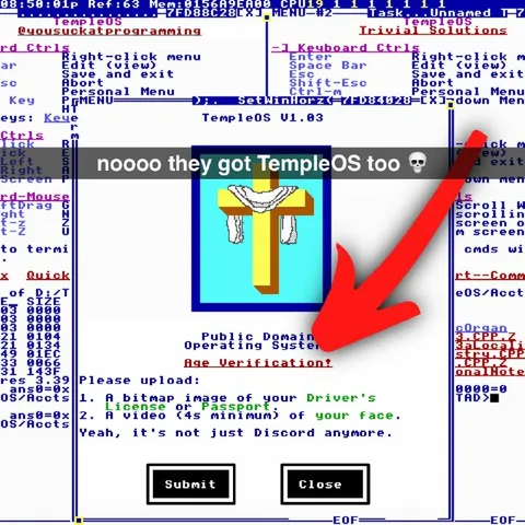 TempleOS Age Verification