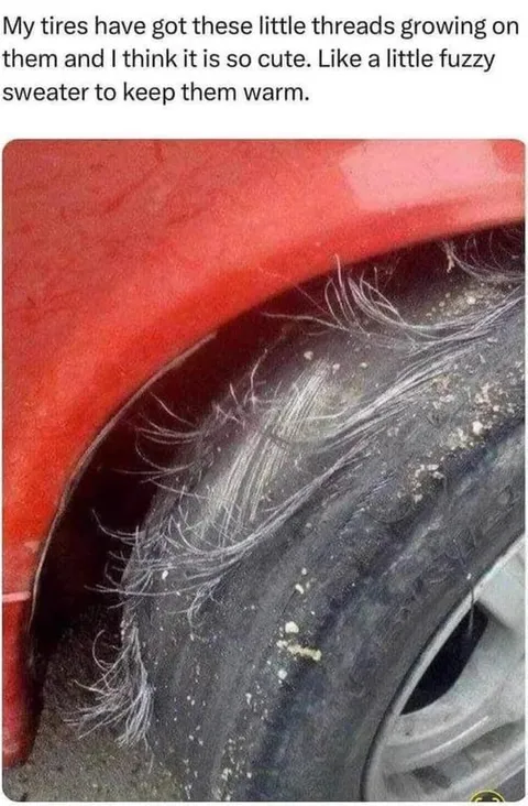 Fuzzy Sweater Tire