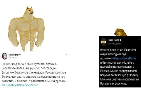Мускулистый Доге против национализма