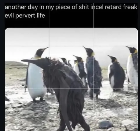 Another Day in Incel Life