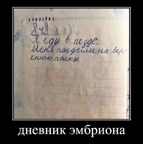 Дневник эмбриона в поезде
