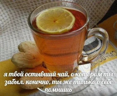 Остывший чай, о котором забыли