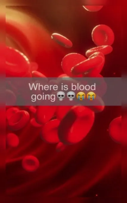 Where Is Blood Going
