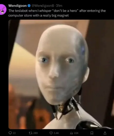 Tesla Bot Hears Don’t Be a Hero