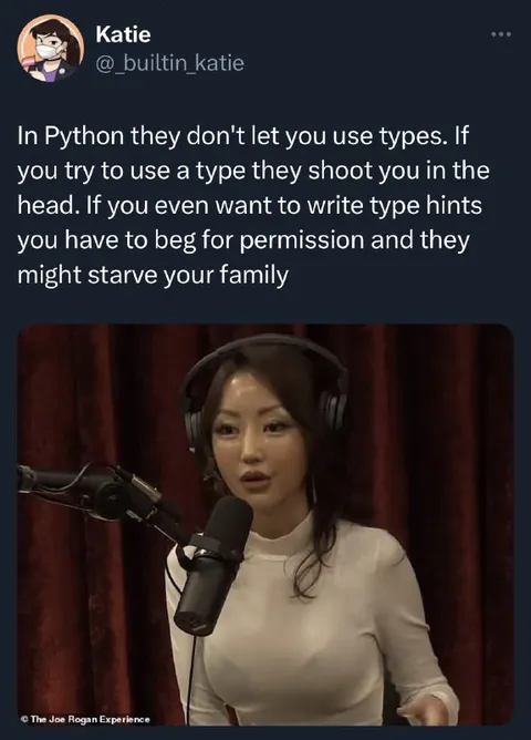 Python Type Hints Permission