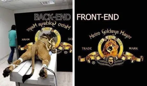 Back-End vs Front-End Lion